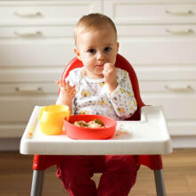 019 DOIDY BOWL - RED PLATE
