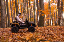OFF-ROAD BATTERY VEHICLE RINGO MORO