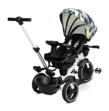 TRICYCLE DASH MONSTERA