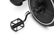 TRICYCLE DASH MONSTERA