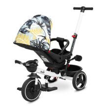 TRICYCLE DASH MONSTERA