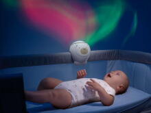 164752 POLAR BEAR WITH NEUTRAL PROJECTOR