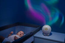 164752 POLAR BEAR WITH NEUTRAL PROJECTOR