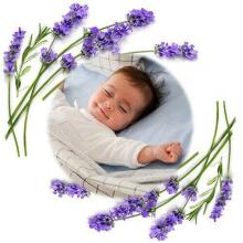 796/03 HOT WATER BOTTLE WITH CHERRY SEEDS BLUE