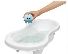 173549 OCTOPUS AND BATH CRAB