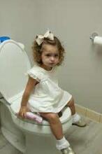 Potette Plus Potty Travel 2 in 1 Art.168065 Pink Сидение для унитаза/горшок