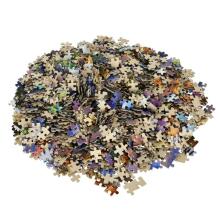 Ikonka Art.KX3698 CASTORLAND Puzzle 1500el. Vilka nakts