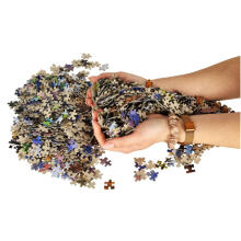 Ikonka Art.KX3698 CASTORLAND Puzzle 1500el. Vilka nakts