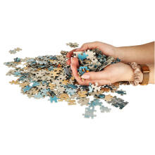 Ikonka Art.KX3703 CASTORLAND Puzzle 500el. Morning at the Seaside