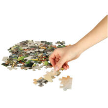 Ikonka Art.KX3707 CASTORLAND Puzzle 100el. Dinozauru pasaule