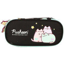 Ikonka Art.KX3765_1 Pusheen pastelis ar atlokāmu maisiņu penālis