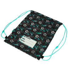 Ikonka Art.KX3767_1 Children's football shoe bag