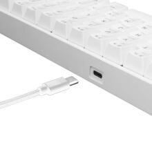 White Shark Shinobi GK-2022 Blue switch, White US