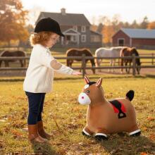 Toi Toys Horse Art.B-2595 Children's jumper