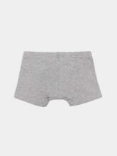 NORD TEXTILE  Slip Boy Art.413342 apakšbiksītes no 100%  kokvilnas   (92-140 cm)