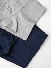 NORD TEXTILE Pants Boys  Art.413344-2 apakšbiksītes no 100% kokvilnas,2 gab (92-140 cm)