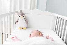Zazu Phoebe Soft toy with night light