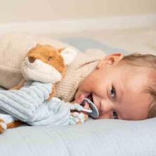 Little Dutch  Pacifier Cloth Art.8902 Forest Friends Клипса для детской пустышки из натурального хлопка