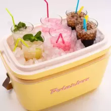 Polarbox Cool Box Retro Cooler Art.210774  Nude – Olive Green Холодильник для кемпинга 12Л