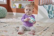 Fisher-Price® loomateemalised kõrinad
