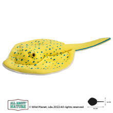 Wild Planet pehme mänguasi, rai 45 cm