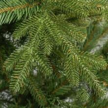 Christmas tree Springos CT0163 150cm