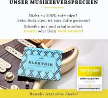 Guitar Strings Premium Electric  Guitar Strings Art.223272 6 strings
