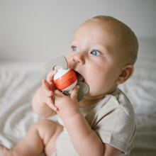 BabyOno Rattle Teething Toy Art.1587 Mūzikalais grabulis
