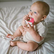 BabyOno Rattle Teething Toy Art.1593 Музыкальная погремушка