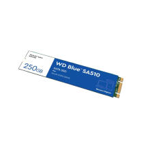 Western Digital SA510 M.2 250 GB Serial STAGE III