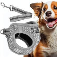 Комплект бескомпрессионной шлейки для собаки и кошки Springos PA0235, XS до 5,5 кг + поводок 150 см, серый