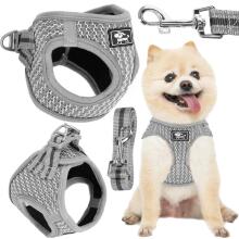 Pressure-free dog and cat harness set Springos PA0237, M 9-13 kg + 150 cm leash, grey