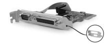 GEMBIRD PEX-COMLPT-01 Gembird COM serial