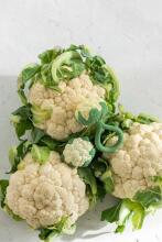 Oil Carol Teether Toy Art.227782 Cauliflower zobgrauznis no naturāla kaučuka