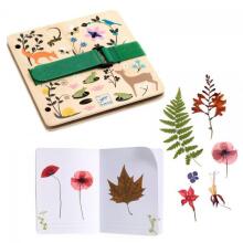 DIY - Create - Budding botanist
