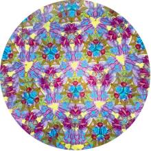Svoora - Grozāmais kaleidoskops - Pūces