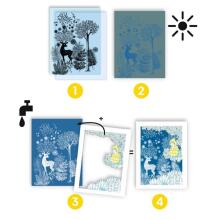 Cyanotype - In the moonlight