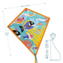 Games of skill - Kite - Ocean