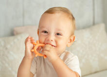 GILIGUMS GG 50198 Teether Vistas persiks
