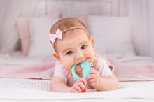 GILIGUMS GG 58367 Crab Teether