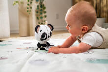TINY LOVE TL11186004 TINY SMARTS Подвеска/музыкальная шкатулка Panda DECOR черный/белый