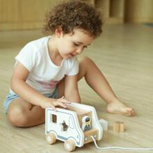 Viga 51612 Gray and white educational sorter - car