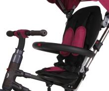 MILLY MALLY 3851 Qplay Tricycle Rito Rubber purple