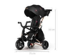 Bebe Basic Nova Gold Art.235558 Black Детский трехколесный велосипед c ручкой управления , крышей и надувными колёсами