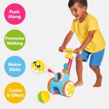 Tomy Toomies Push Along Baby Toy  Art.237933