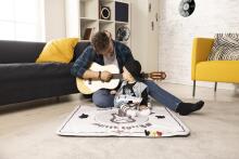 TINY LOVE TL15064000 Soft Rockers музыкальная гитара