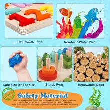 Plunack Montessori Wooden Art.241381 Montessori Wooden Puzzle