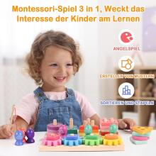Wooderma Montessori Toy 3 in 1 Art.241381 Montessori Wooden Puzzle