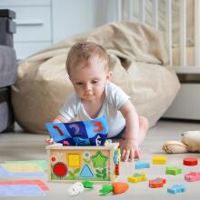 Focenat Montessori Wooden Toy 9-in-1 Art.241410 Koka puzle Montessori
