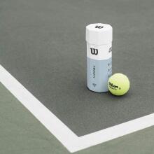 Wilson Triniti Tennis Ball Art.242114 Tenisa bumbiņas 3 gab.